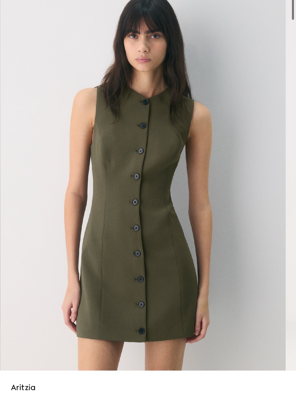 Aritzia Regal Dress